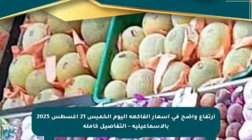ارتفاع واضح في أسعار الفاكهة اليوم الخميس 21 أغسطس 2025 بالإسماعيلية – التفاصيل كاملة